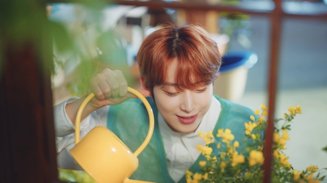 Video Reference: Happy, Yellow, Plant, Flower, Fun, Bangs, Event, Flower Arranging, Floral design, Floristry