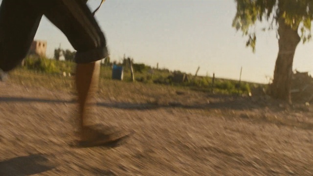 Video Reference: Plant, Ecoregion, Sky, People in nature, Natural environment, Wood, Tree, Asphalt, Thigh, Grassland