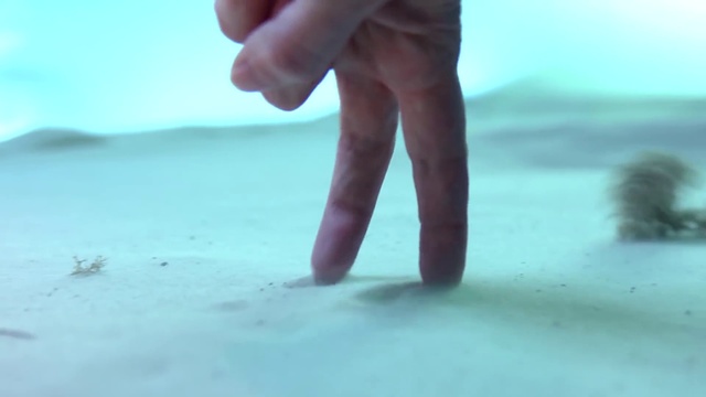 Video Reference: Hand, Sky, Vertebrate, Leg, Azure, Natural environment, Mammal, Gesture, People in nature, Beach