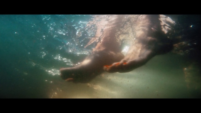 Video Reference: Water, Atmosphere, Underwater, Mammal, Organism, Sunlight, Marine biology, Fin, Wind wave, Recreation