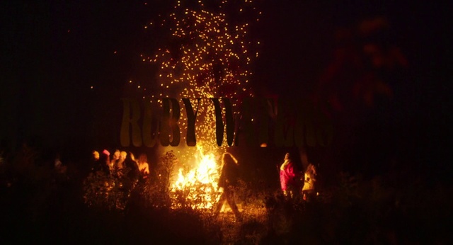 Video Reference: Water, Plant, Fire, Flame, Fireworks, Heat, Midnight, Tree, Event, Landscape