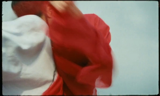 Video Reference: Plant, Gesture, Flower, Petal, Art, Rose order, Rose family, Event, Flowering plant, Magenta