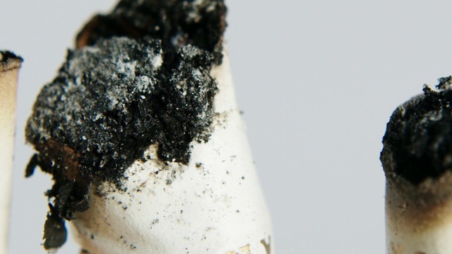 Video Reference: Liquid, Graphite, Drinkware, Metal, Wood, Ash, Ingredient, Comfort food, Freezing, Drink