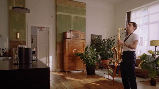 Video Reference: Plant, Houseplant, Cabinetry, Flowerpot, Musical instrument, Picture frame, Interior design, Flooring, Wind instrument, Wood