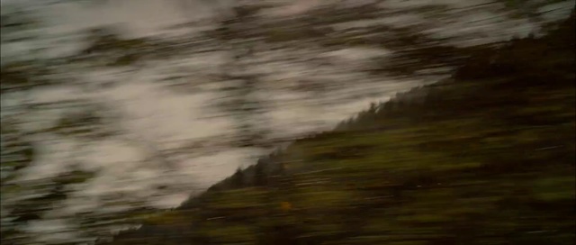 Video Reference: Wood, Natural landscape, Cloud, Landscape, Grassland, Horizon, Grass, Forest, Road, Cumulus