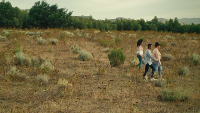 Video Reference: Plant, Plant community, Ecoregion, Sky, Natural landscape, People in nature, Tree, Grassland, Grass, Plain