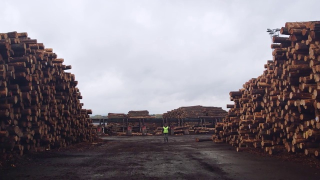 Video Reference: Sky, Cloud, Wood, Tree, Brick, Landscape, City, Plant, Soil, Archaeological site