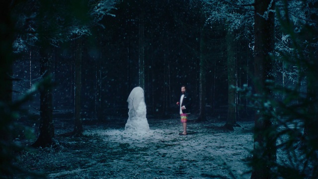 Video Reference: Plant, People in nature, Natural landscape, Tree, Trunk, Leisure, Fountain, Recreation, Freezing, Grass