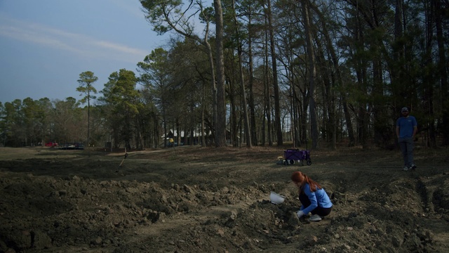 Video Reference: Plant, Sky, Tree, Cloud, Grass, Wood, Landscape, Forest, Natural landscape, Automotive tire