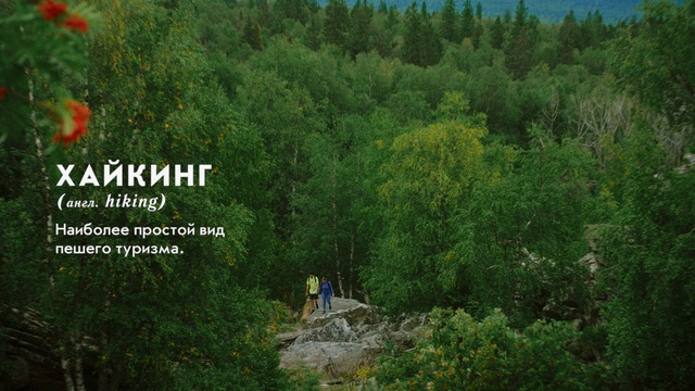 Video Reference: Plant, Plant community, Ecoregion, Natural environment, Natural landscape, Tree, Terrestrial plant, Grass, Biome, Evergreen