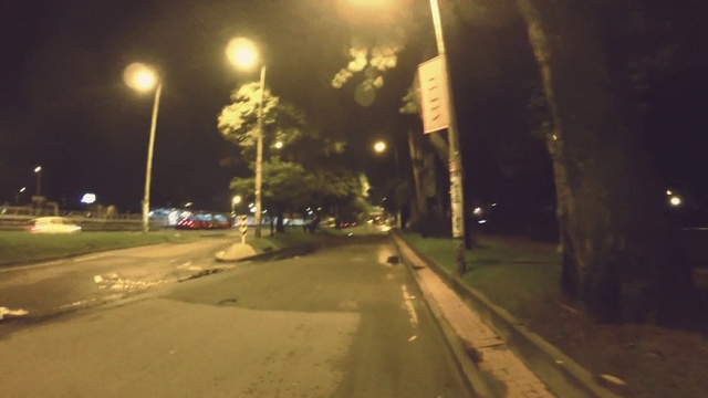 Video Reference: Street light, Automotive lighting, Plant, Road surface, Lighting, Asphalt, Electricity, Sidewalk, Headlamp, Tree