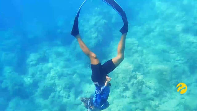 Video Reference: Water, Underwater diving, Azure, Underwater, Diving equipment, Diving mask, Aqua, Leisure, People in nature, Electric blue