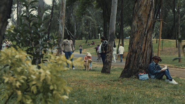 Video Reference: park, woods, trees, people, walking, sitting, dog, leash, path, grass, outdoors, relaxing, picnic, reading, bike, nature
