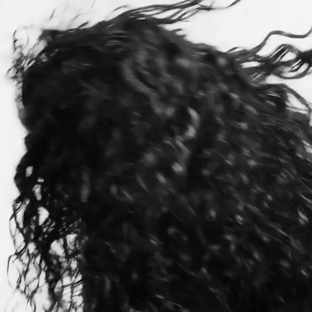 Video Reference: Black hair, Long hair, Ringlet, Artificial hair integrations, Liver, Monochrome photography, Wig, Fashion accessory, Monochrome, Fur
