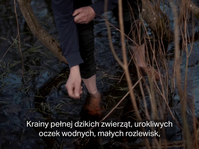 Video Reference: Leg, People in nature, Wood, Plant, Gesture, Thigh, Grass, Terrestrial plant, Shorts, Woody plant