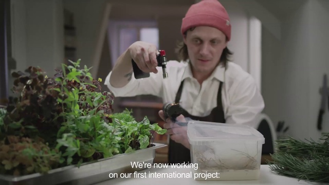 Video Reference: Plant, Adaptation, Cooking, Chef, Science, Event, Room, Cap, Floristry, Cook