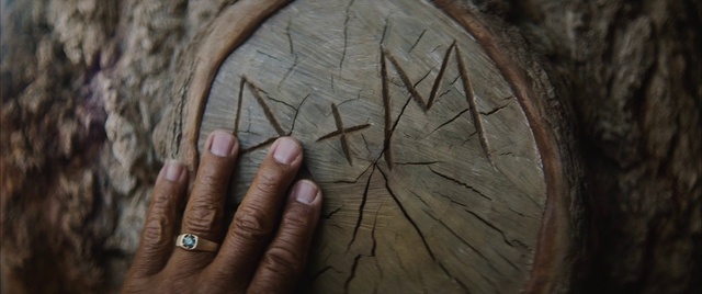 Video Reference: Wood, Gesture, Finger, Natural material, Wrinkle, Thumb, Eyelash, Jewellery, Circle, Nail