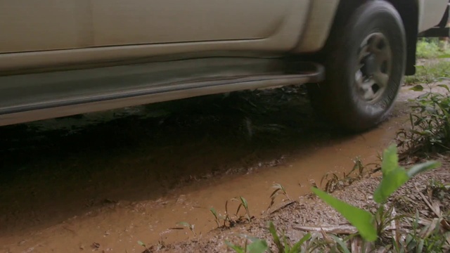 Video Reference: Tire, Wheel, Plant, Automotive tire, Vehicle, Car, Tread, Synthetic rubber, Bumper, Alloy wheel