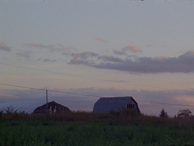 Video Reference: Cloud, Sky, Plant, Natural landscape, Dusk, Horizon, House, Landscape, Tree, Meadow