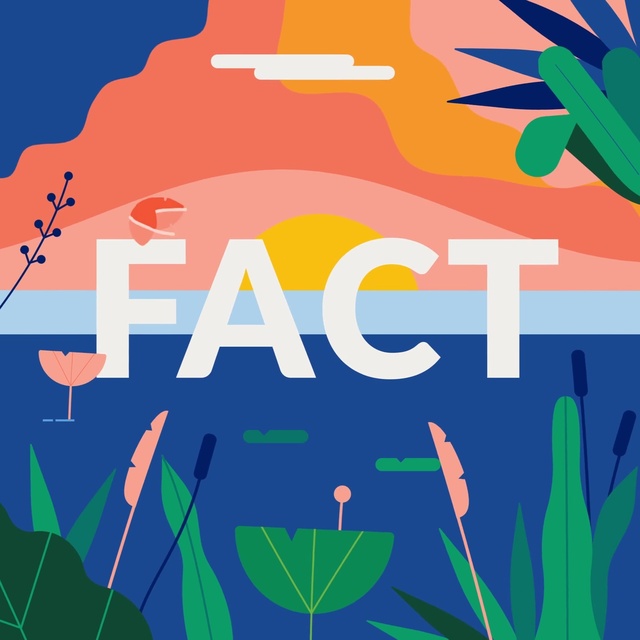 Video Reference: Product, Azure, Nature, World, Green, Organism, Font, Biome, Line, People in nature