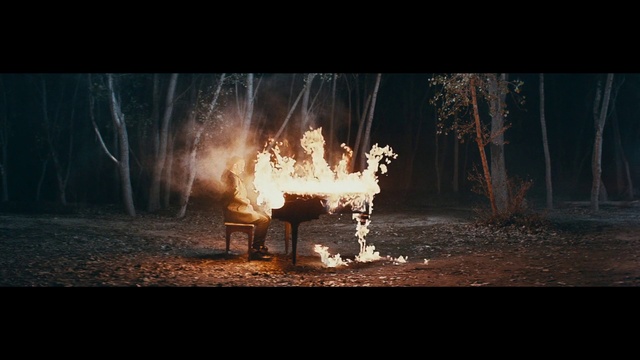 Video Reference: Atmosphere, Bonfire, Tree, Wood, Flame, Sky, Fire, Plant, Heat, Gas