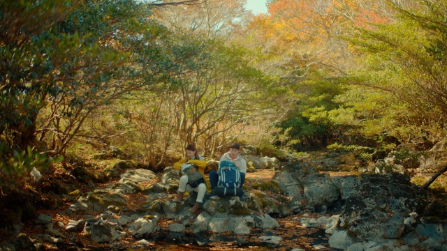 Video Reference: Plant community, Plant, People in nature, Leaf, Tree, Natural landscape, Grass, Wood, Deciduous, Sky