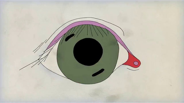 Video Reference: Nose, Head, Eye, Eyelash, Art, Font, Snout, Circle, Paint, Illustration