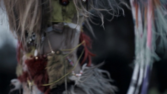 Video Reference: Twig, Organism, Eyelash, Grass, Glass, Whiskers, Fur, Darkness, Fictional character, Transparent material