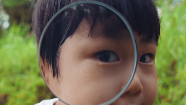 Video Reference: Forehead, Nose, Skin, Lip, Chin, Eyebrow, Eye, Eyelash, Ear, Iris