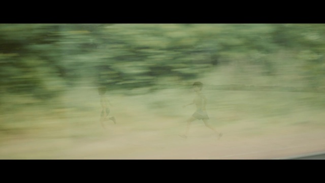 Video Reference: Wood, Twig, Natural landscape, Rectangle, Tints and shades, Landscape, Grassland, Font, Tree, Grass