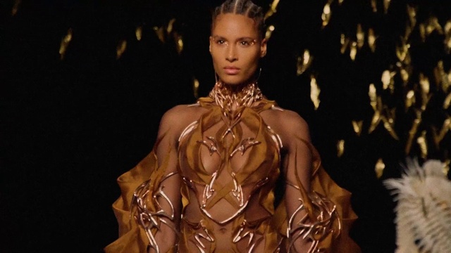 Video Reference: Hair, Fashion design, Necklace, Fashion model, Jewellery, Formal wear, Event, Trunk, Silk, Thigh