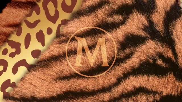 Video Reference: Brown, Felidae, Fawn, Terrestrial animal, Snout, Pattern, Military camouflage, Whiskers, Fur, Tail