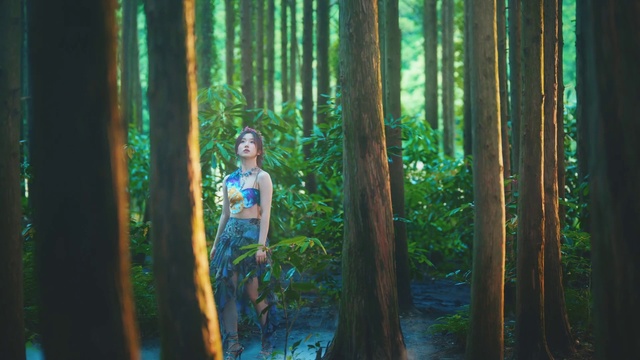 Video Reference: Plant, Green, People in nature, Wood, Terrestrial plant, Flash photography, Trunk, Grass, Tree, Electric blue