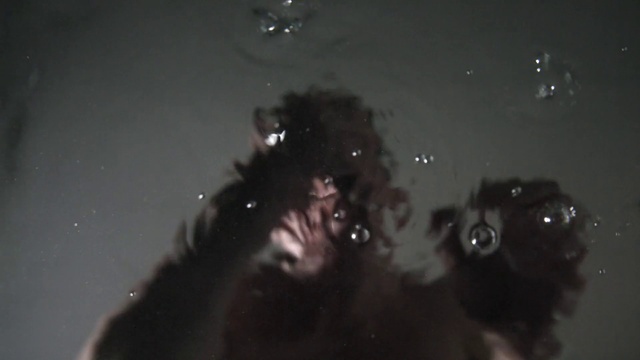 Video Reference: Water, Liquid, Flash photography, Sky, Astronomical object, Science, Midnight, Space, Darkness, Monochrome