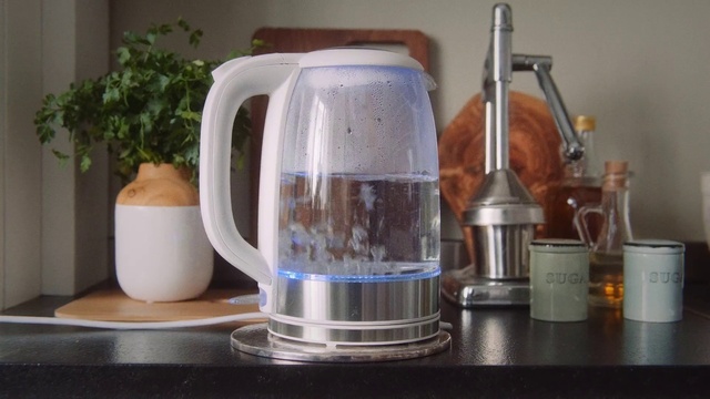 Video Reference: Plant, Drinkware, Kitchen appliance, Home appliance, Houseplant, Tableware, Flowerpot, Food processor, Serveware, Coffeemaker