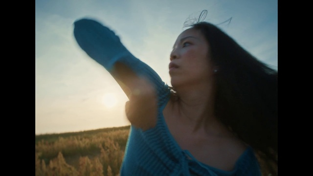 Video Reference: Sky, Plant, People in nature, Flash photography, Happy, Gesture, Finger, Grass, Landscape, Grassland