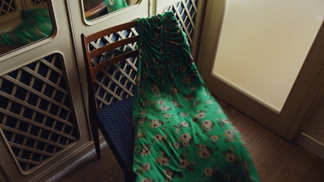 Video Reference: Green, Wood, Motor vehicle, Vehicle door, Vehicle, Automotive exterior, Flooring, Pattern, Linens, Stairs