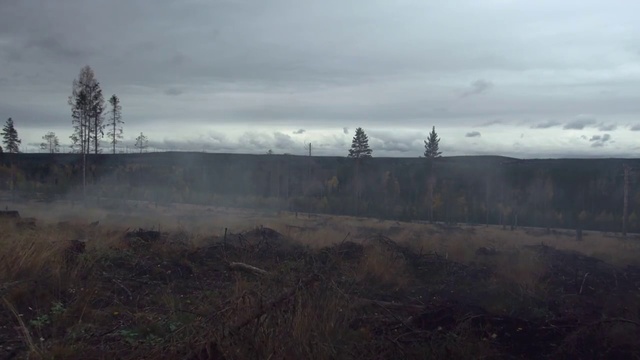 Video Reference: Cloud, Sky, Plant, Tree, Natural landscape, Plain, Landscape, Grassland, Forest, Haze