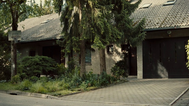 Video Reference: Plant, Property, Building, Window, Architecture, Road surface, Vegetation, Land lot, House, Neighbourhood