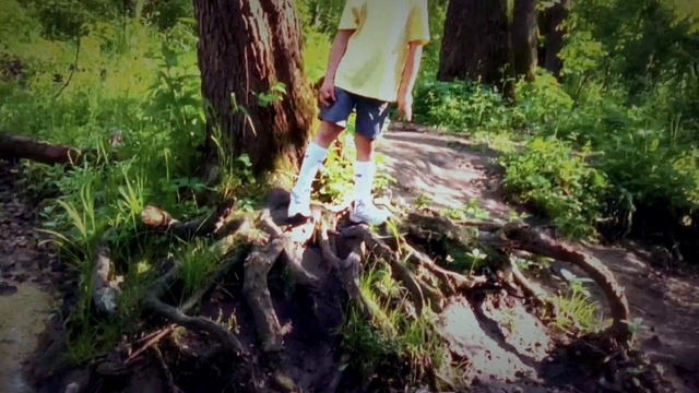 Video Reference: Plant, Shorts, Plant community, People in nature, Branch, Wood, Natural landscape, Trunk, Terrestrial plant, Tree