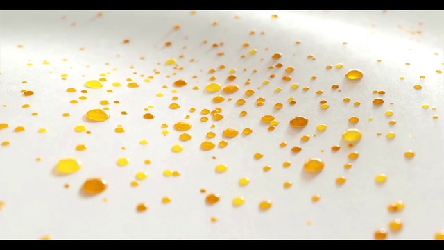 Video Reference: Liquid, Amber, Ingredient, Cuisine, Plant, Font, Dish, Art, Circle, Dishware