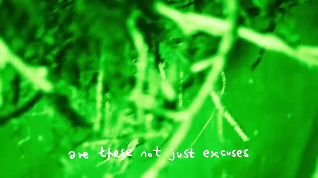 Video Reference: Green, Terrestrial plant, Grass, Font, Pattern, Electric blue, Plant, Circle, Science, Graphics