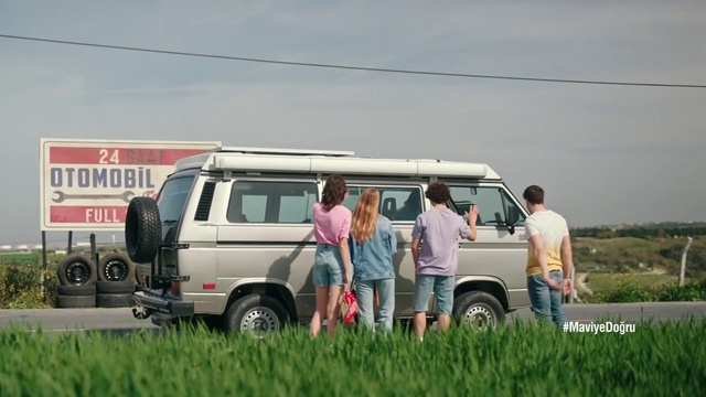 Video Reference: Tire, Plant, Car, Vehicle, Sky, Wheel, Van, Motor vehicle, Automotive exterior, Compact van