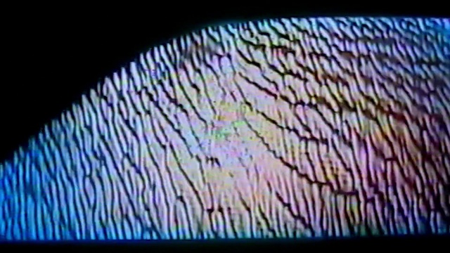 Video Reference: Organism, Window, Art, Font, Glass, Tints and shades, Display device, Symmetry, Electric blue, Stained glass