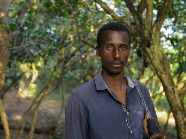 Video Reference: Forehead, Shirt, Sleeve, Flash photography, Smile, Happy, Adaptation, Black hair, Grass, Tree