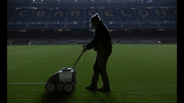 Video Reference: Grass, Player, Ball game, Stick and Ball Sports, Sports, Golf equipment, Flooring, Grassland, Team sport, Competition event