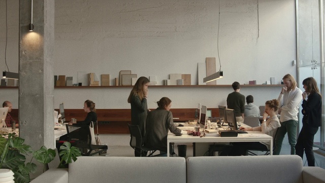 Video Reference: Property, Interior design, Plant, Automotive design, Table, Building, Event, Desk, Art, Couch