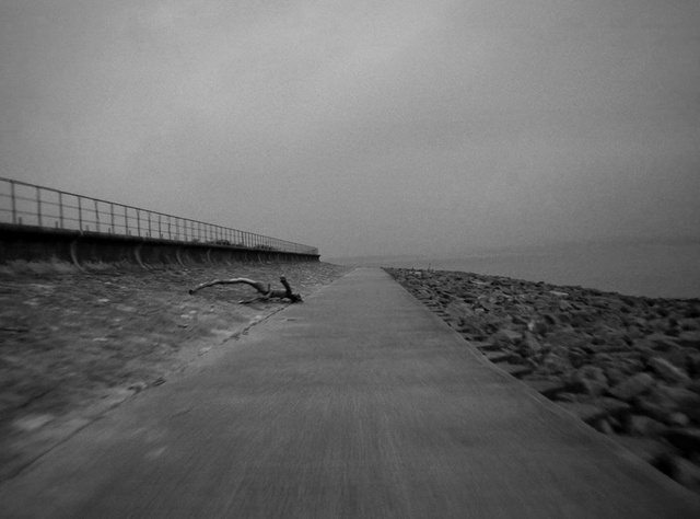 Video Reference: Sky, Water resources, Cloud, Water, Wood, Grey, Black-and-white, Coastal and oceanic landforms, Beach, Landscape