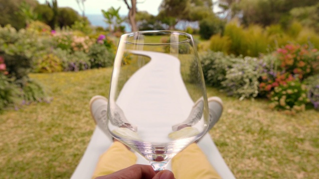 Video Reference: Glasses, Tableware, Plant, Drinkware, Stemware, Wine glass, Leaf, Barware, Tree, Botany