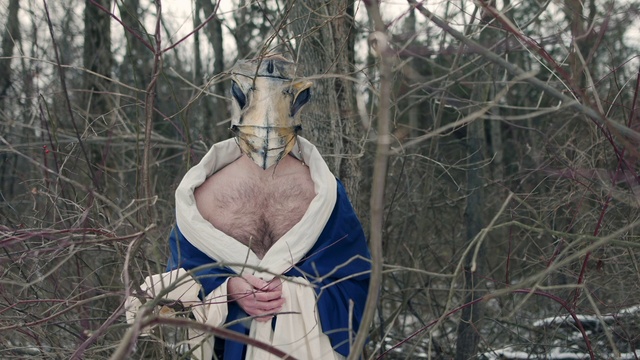 Video Reference: Dress, Plant, Beard, Twig, Branch, Wood, Tree, Trunk, Terrestrial animal, Snout
